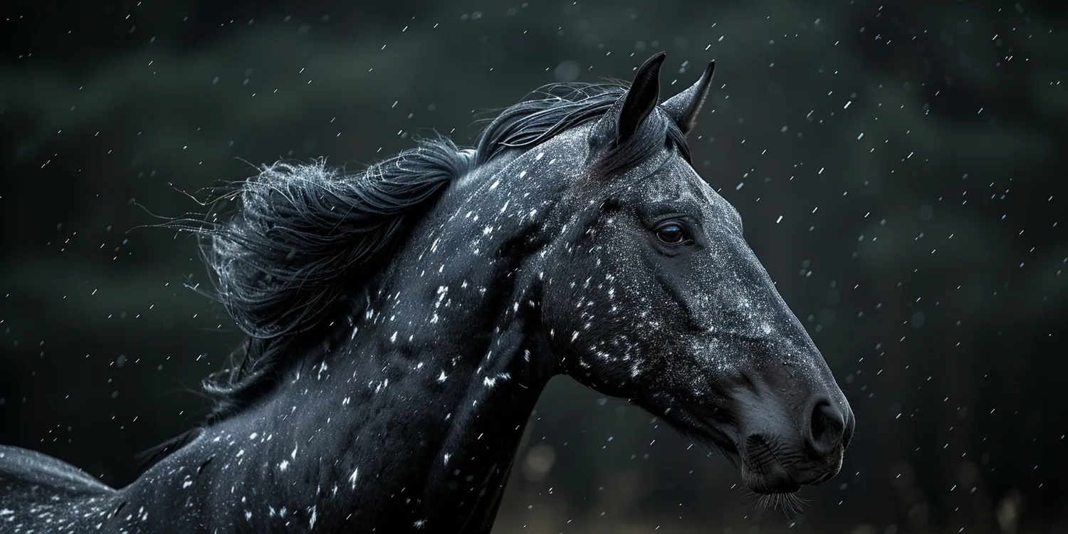 Jak otworzyć własne krematorium dla zwierząt?