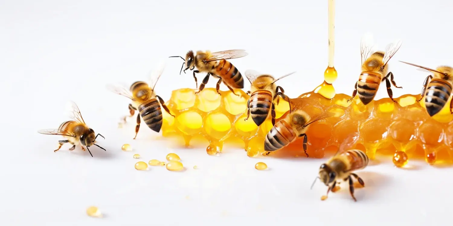 Na co jest miód akacjowy?