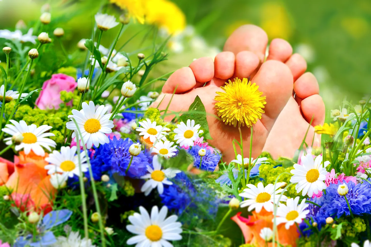 Podologia - co oznacza ten termin?